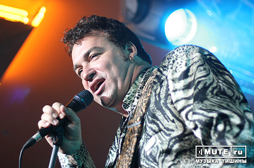 Red Elvises